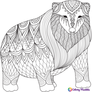 bear for coloring