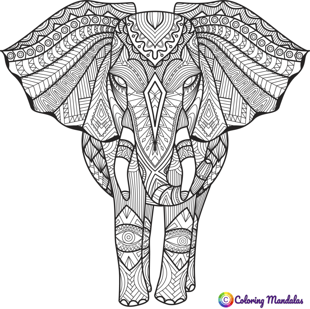 elephant for coloring