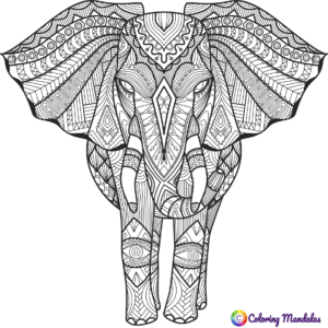 elephant for coloring