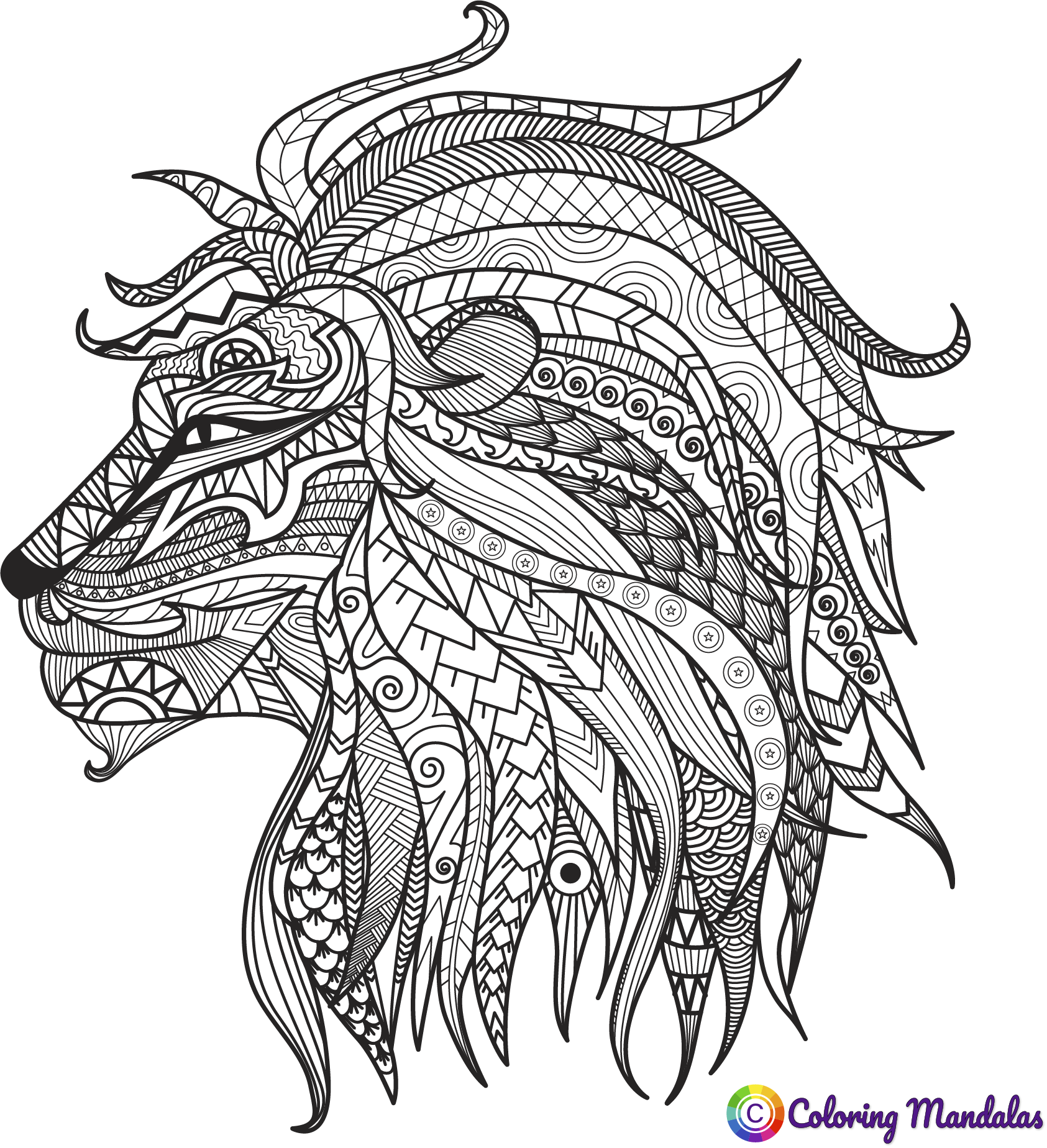 Lion for coloring