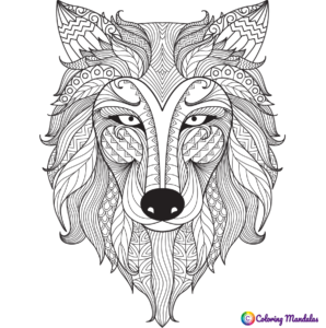 wolf For coloring